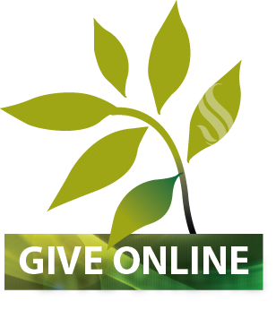 Online-Giving-icon